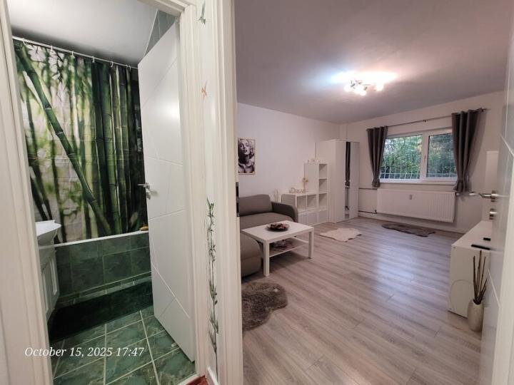 Unirii fix Ttineretului Piscului